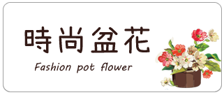 時尚盆花